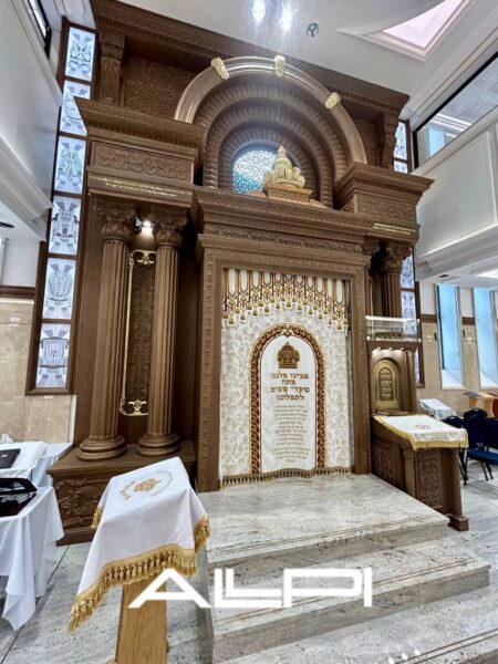 WhatsApp Image 2026-02-17 at 11.07.19