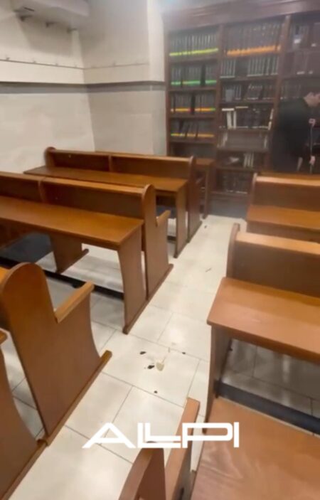 WhatsApp Image 2026-02-17 at 11.38.43